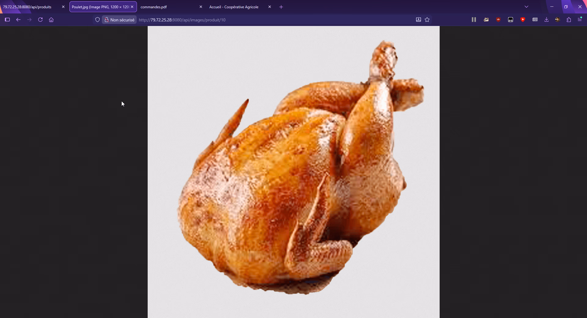 Appel GET de l'image du poulet